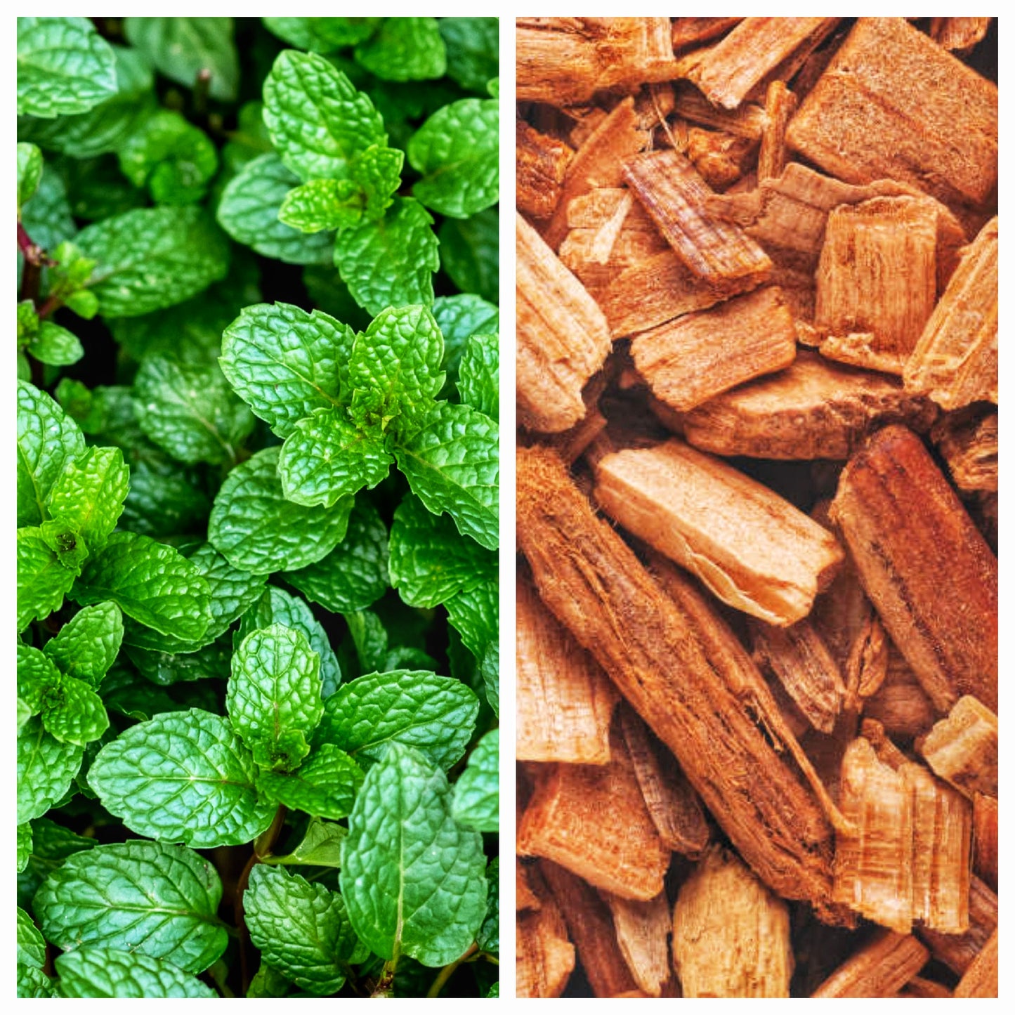 Peppermint & Cedarwood (Bar Soap)