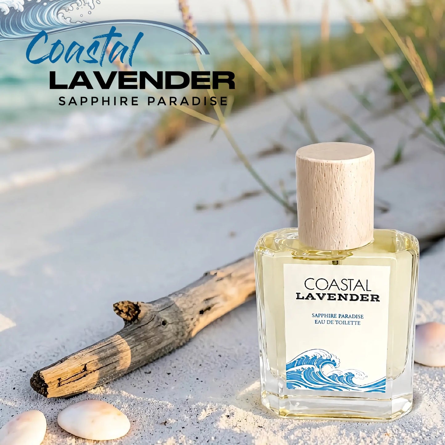 Coastal Lavender