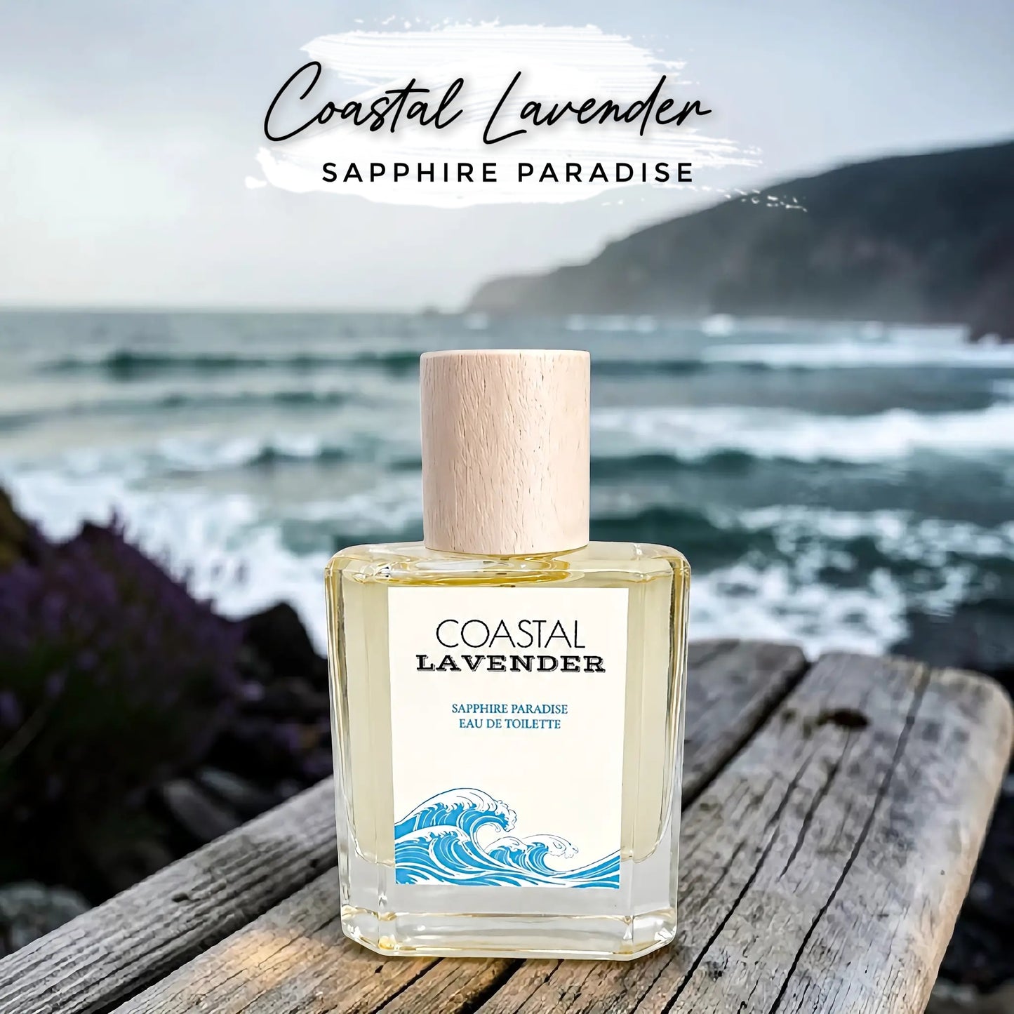 Coastal Lavender