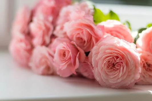 廣藿香和粉紅玫瑰
